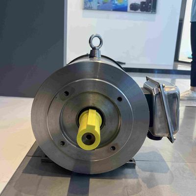 Water Proof Special Electric Motors Three Phase Induction Vertical Hollow Shaft Motors